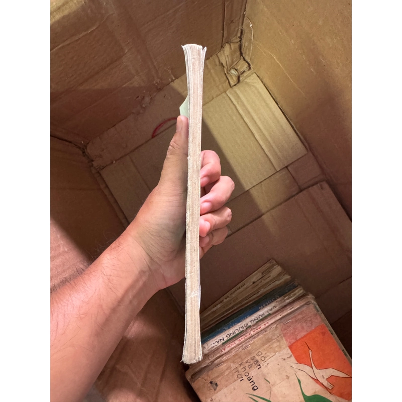 Sách Đợi mặt trởi 447721