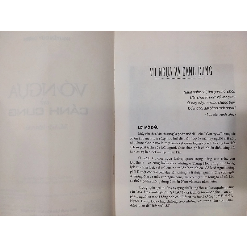 Vó ngựa và cánh cung - Nguyễn Duy Chính 601084