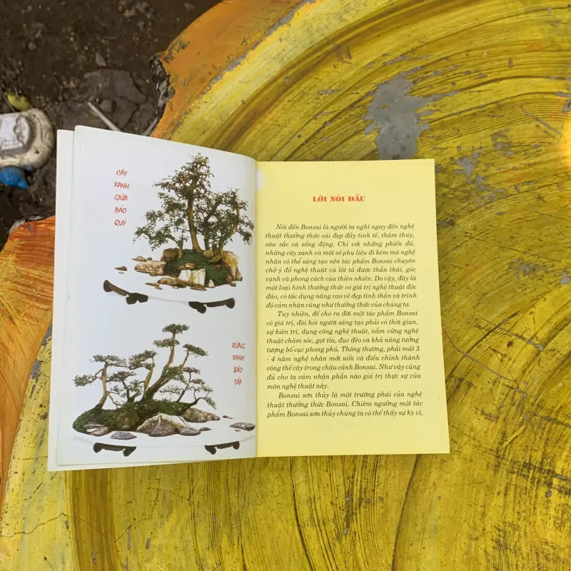  NGHỆ THUẬT CHẾ TÁC CHẬU CẢNH SƠN THUỶ- THANH LOAN 759665