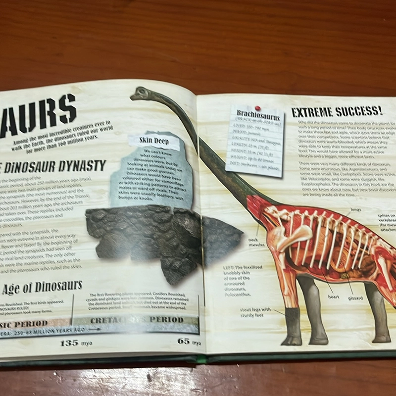 PICTURE BOOK Dinasaurs alive! 536432