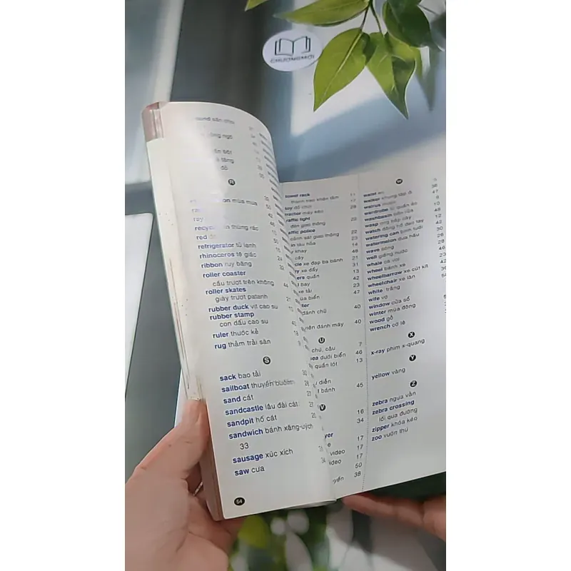 Gấu Bogie Học Từ - NXB Dân Trí - Đông A (Dan Tri - Dong A Publishing) 607708