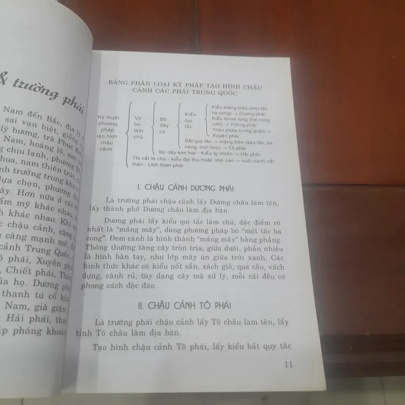 Nghệ thuật CHẾ TÁC CHẬU CẢNH 715538