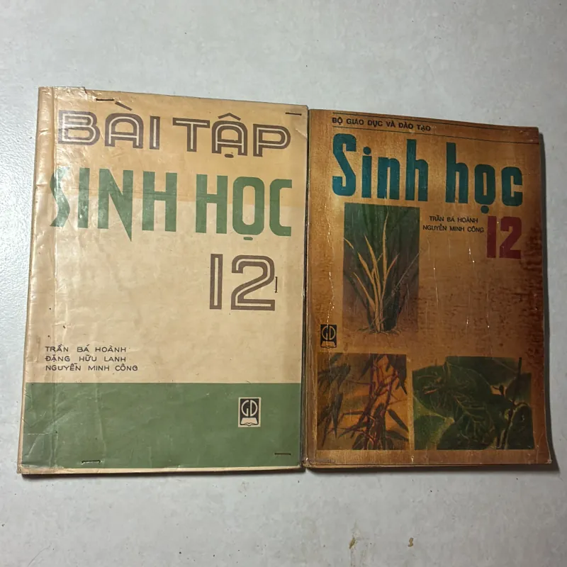Sinh học 12 và bài tập sinh 12 - 1992s 797110
