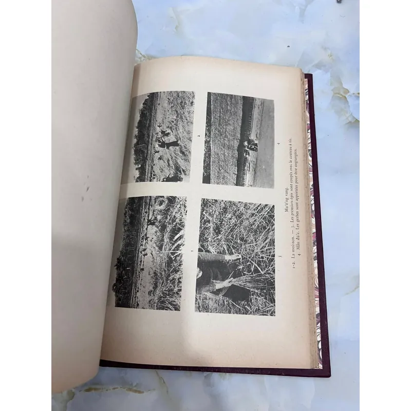 LES MƯỜNG - JEANNE CUISINIER 1006321