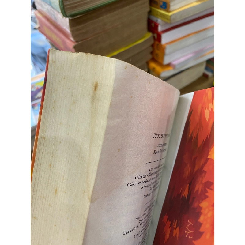 Cuộc đời yêu dấu - Alice Munro 328081