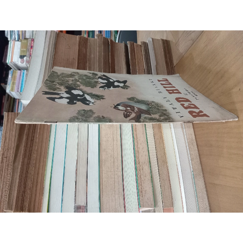 Red Hill - Vitaly Bianki 797799