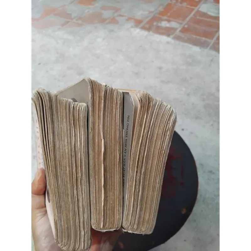 Hán cung hai mươi tám triều  960304