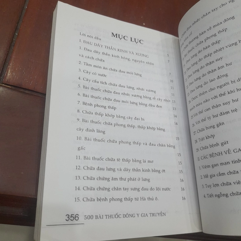 Lương y Quốc Đương - 500 BÀI THUỐC ĐÔNG Y GIA TRUYỀN TRỊ BÁCH BỆNH 532055