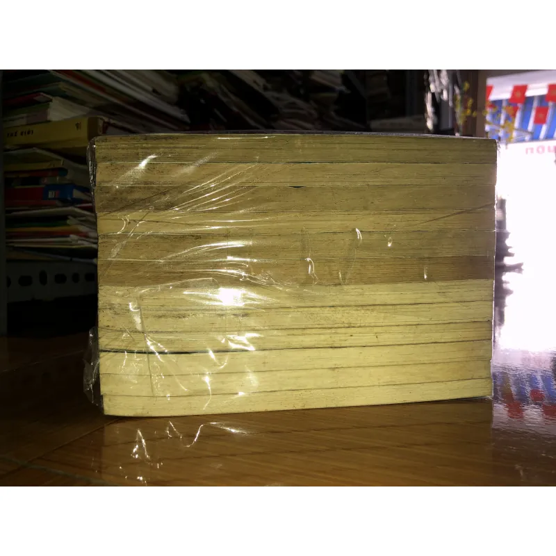 Hộ chiếu xanh - Ishiwata Osamu 935049