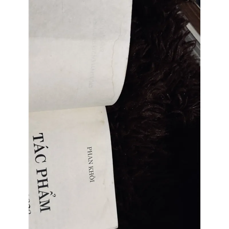 Phan Khôi tác phẩm đăng báo 1928 778725