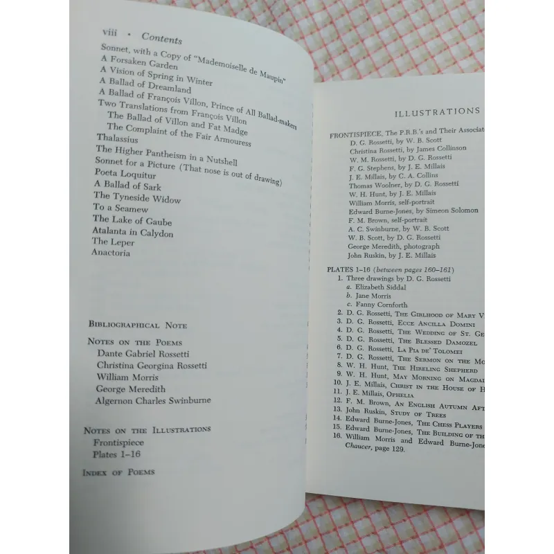 THE PRE-RAPHAELITES AND THEIR CIRCLE - Cecil Y. Lang 961648
