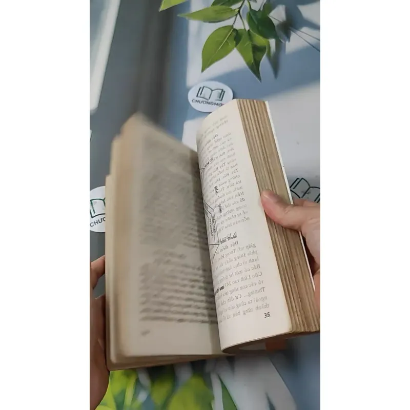 Cơ Sở Văn Hóa Việt Nam - Lê Văn Chưởng 727231