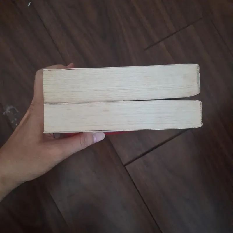 Thái tử phi thăng chức ký - tiên chanh 706337