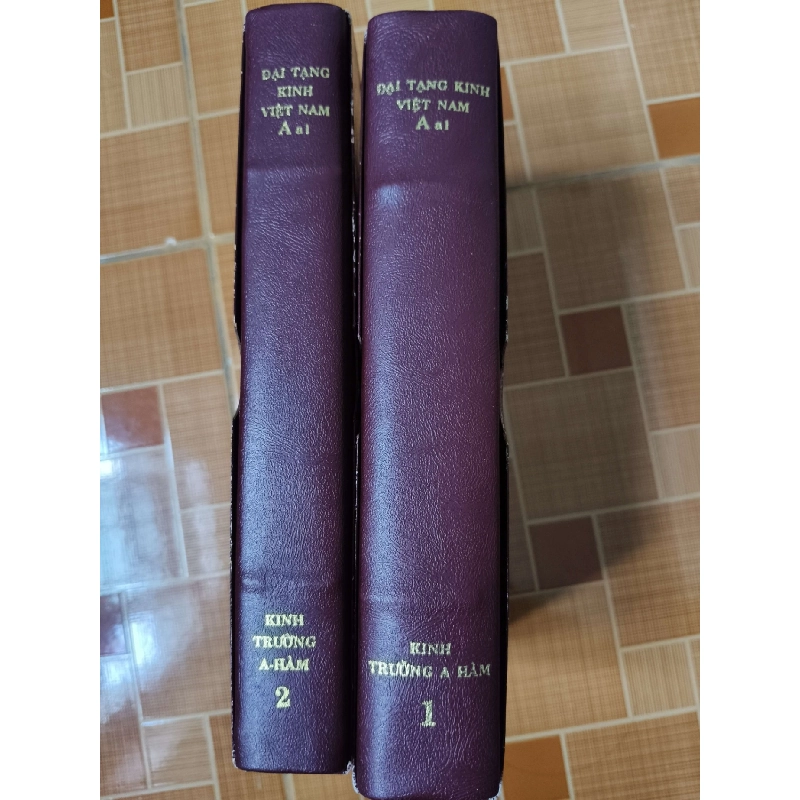 Kinh Trường A Hàm - 2000 - 1165 trang - TÂM LINH - TÔN GIÁO - THIỀN - STLTGTRUNGAHAMSTLTGANTQ3112-130 924728