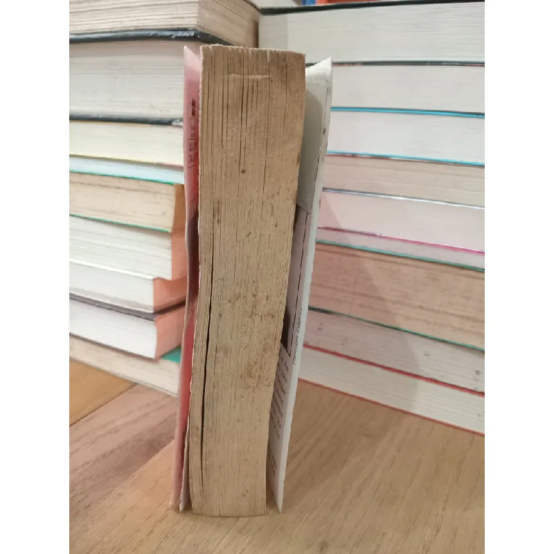 To the nines - Janet Evanovich 697423