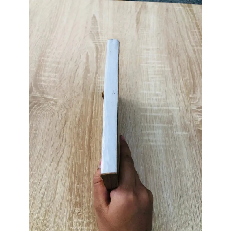 CHỦ NGHĨA NHÂN ĐẠO CỦA CHÚNG TA 960103