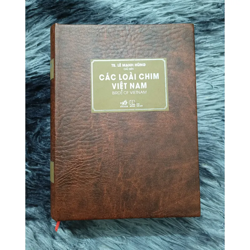 Các loài chim Việt Nam (Lê Mạnh Hùng) 736179
