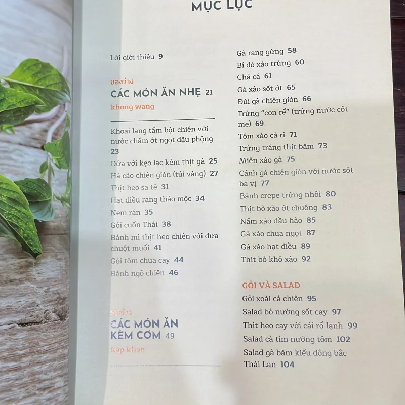 NẤU NGON CHUẨN THÁI - 90 công thức món thái đặc sắc chuẩn vị - cookbook  1040843
