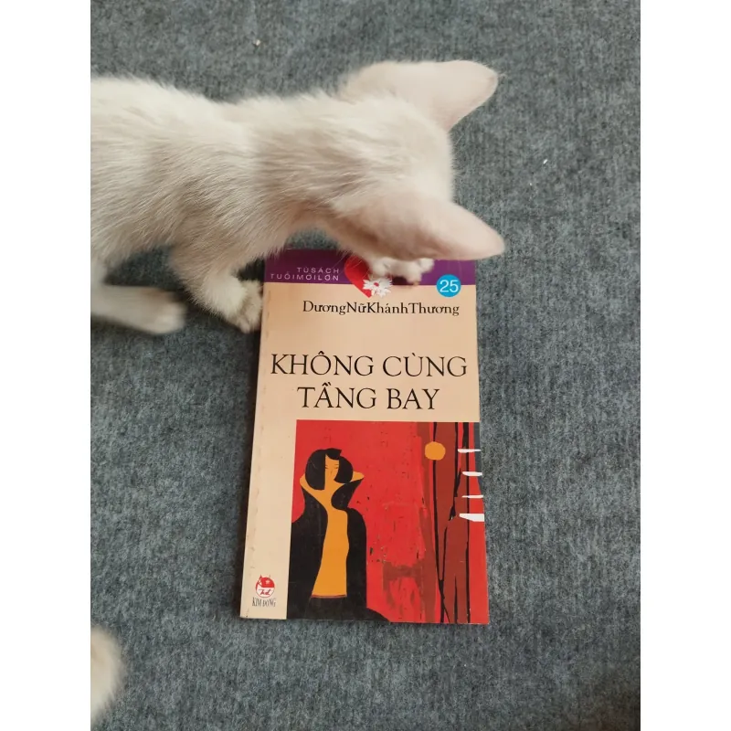 KHÔNG CÙNG TẦNG BAY - DƯƠNG NỮ KHÁNH THƯƠNG 567835