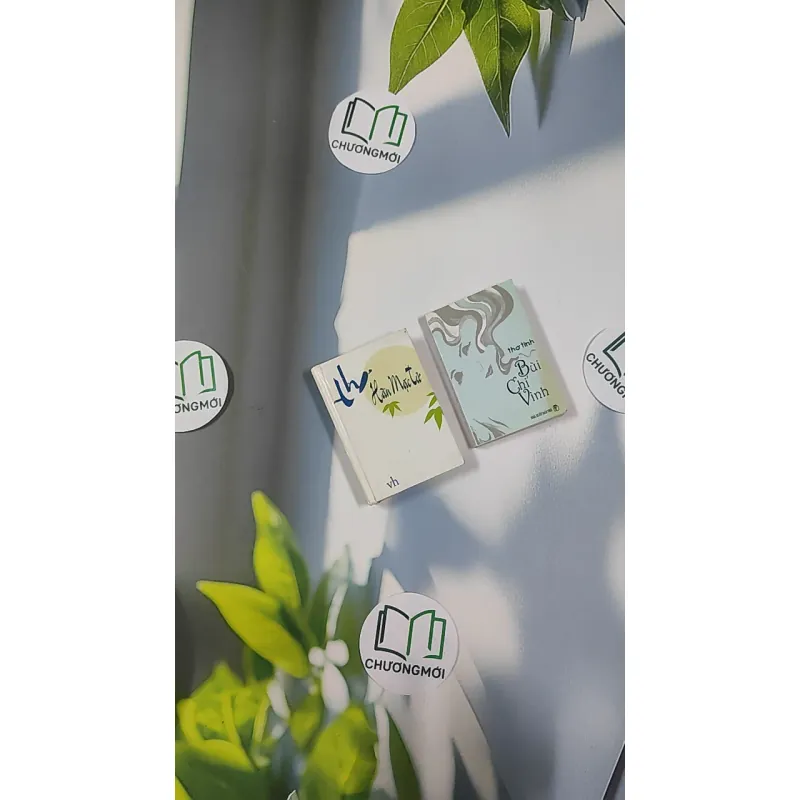 Combo Thơ Hàn Mặc Tử, Bùi Chí Vinh 798494