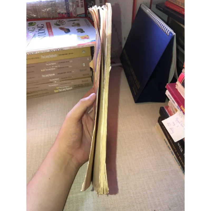 Ánh Lửa Đêm Đông-Ban Giáo Sư ALPHA 956855