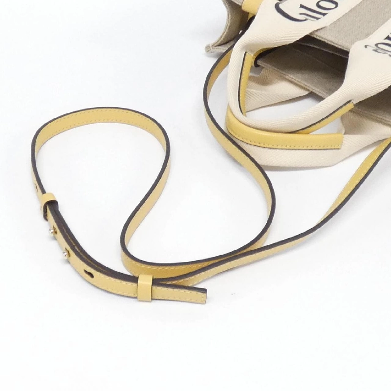 Túi xách nhỏ Woody Chloe CHC22AS397 I26 609872