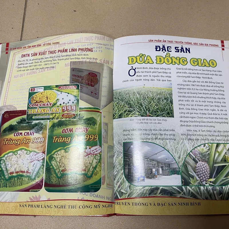 Sản phẩm Làng nghề thủ công mỹ nghệ truyền thống và đặc sản Ninh Binh (c) 728327