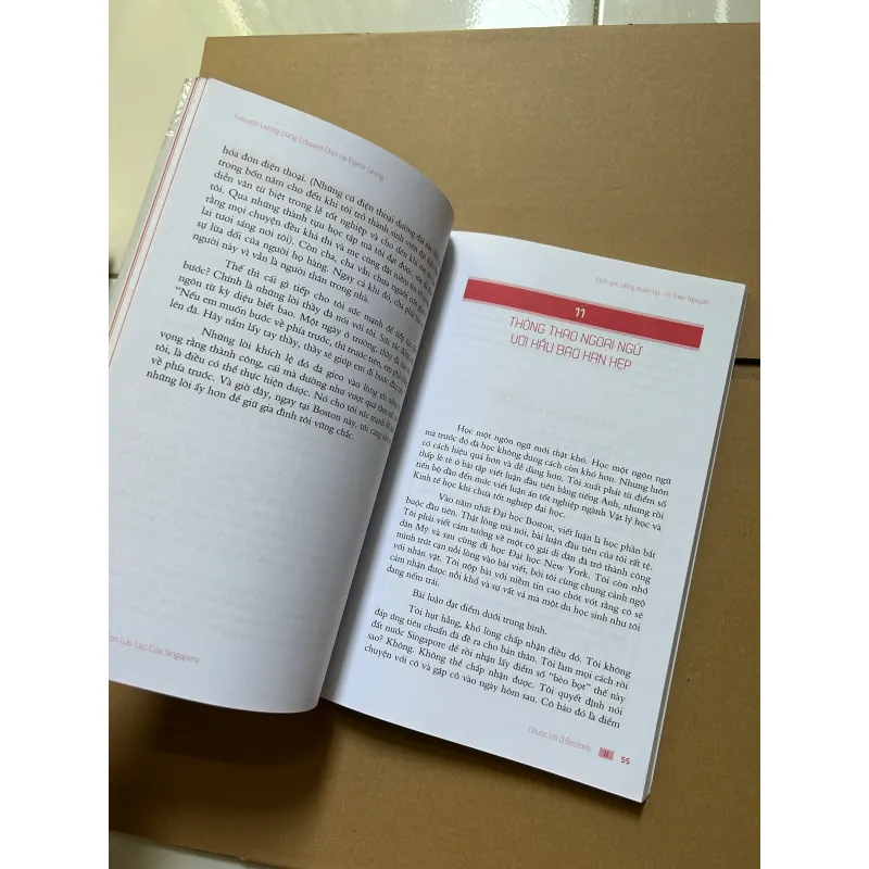 Đứa con lưu lạc của Singapore 745796