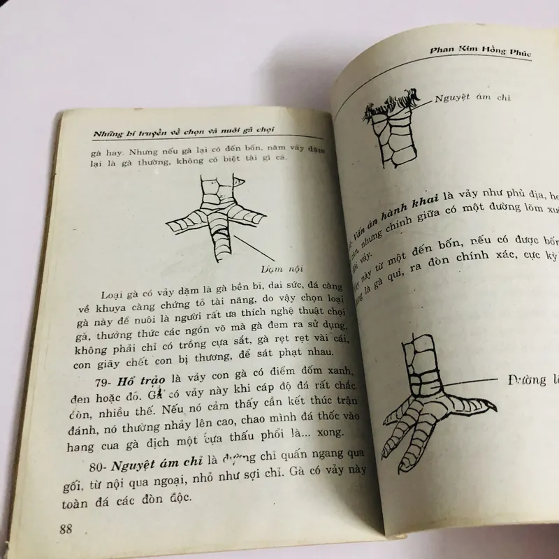 BÍ TRUYỀN VỀ CÁCH CHỌN VÀ NUÔI GÀ ĐÁ GÀ CHỌI 726867