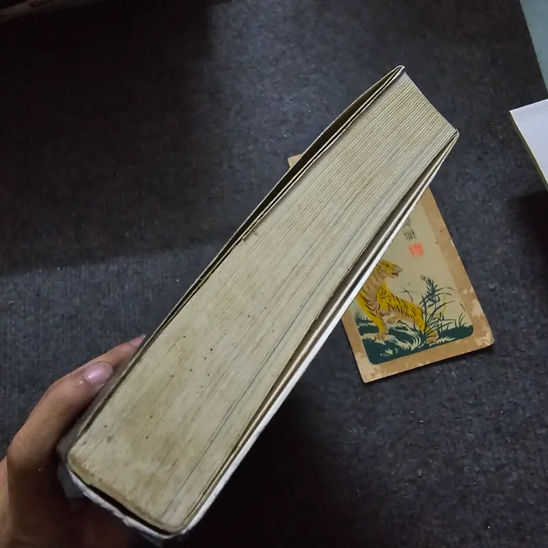 Đười ươi chân kinh - Bùi Giáng 763412