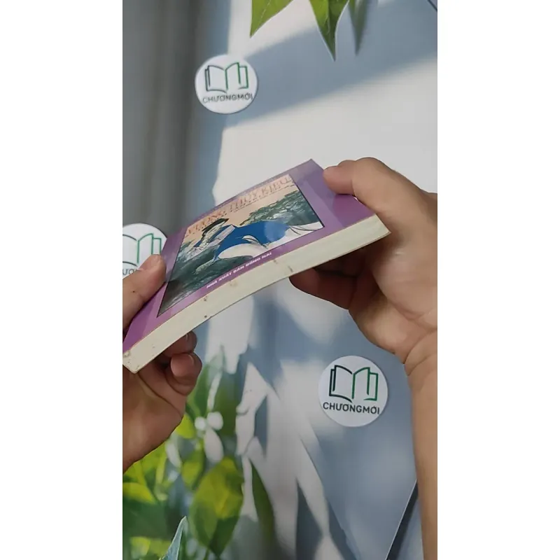 Vương Thúy Kiều - Chú Giải Tân Truyện - Tản Đà Nguyễn Khắc Hiếu chú giải 798334