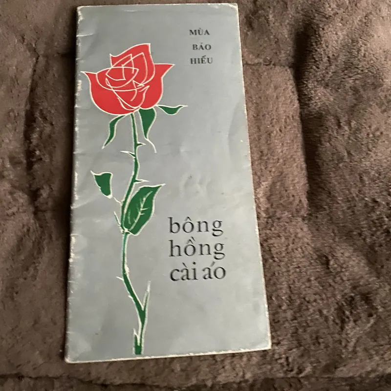 Bông hồng cài áo mùa báo hiếu 674748