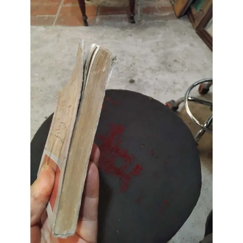 Việt sử diễn âm 1020456