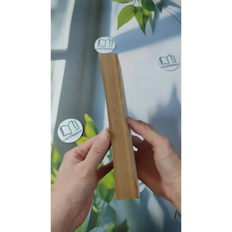 [XƯA] Hồn Thiêng Của Thomasina (1990) - Paul Gallico 997669