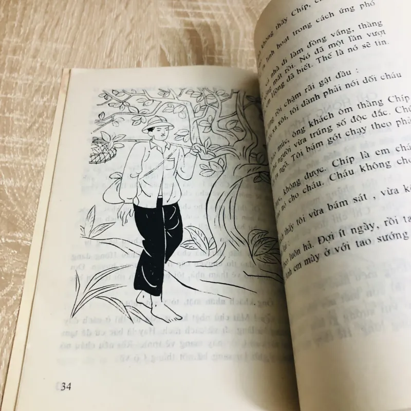 CỒ VÀ CHÍP 929006