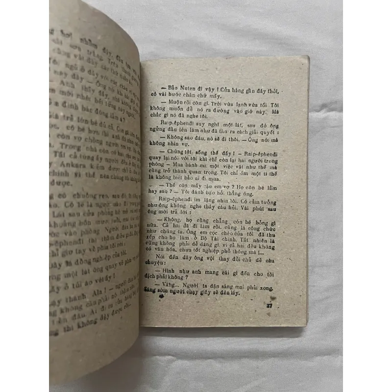 ĐỨC MẸ MẶC ÁO CHOÀNG LÔNG - Sabahattin Ali 993413