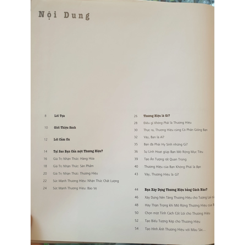 Thương Hiệu Dành Cho Lãnh Đạo (Richard Moore, sách cực hay) 478838