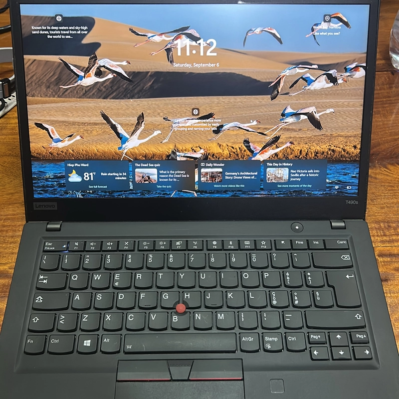 Lenovo ThinkPad T490s 549867