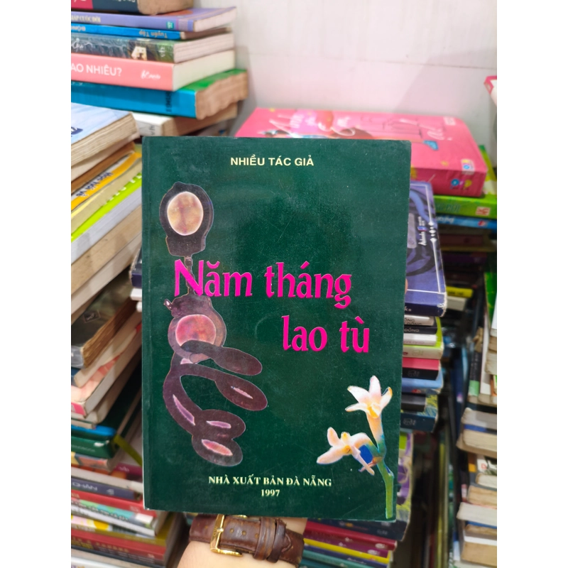 Năm tháng lao tù 🌱 536118