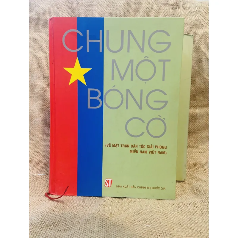 Chung một bóng cờ 1005113