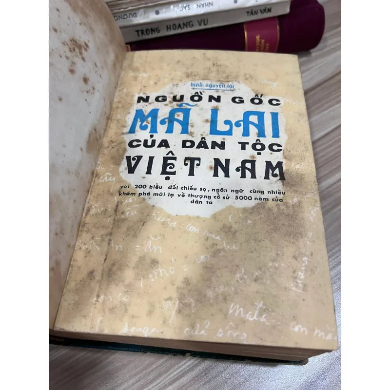 NGUỒN GỐC MÃ LAI CỦA DÂN TỘC VIỆT NAM - BÌNH NGUYÊN LỘC 999683