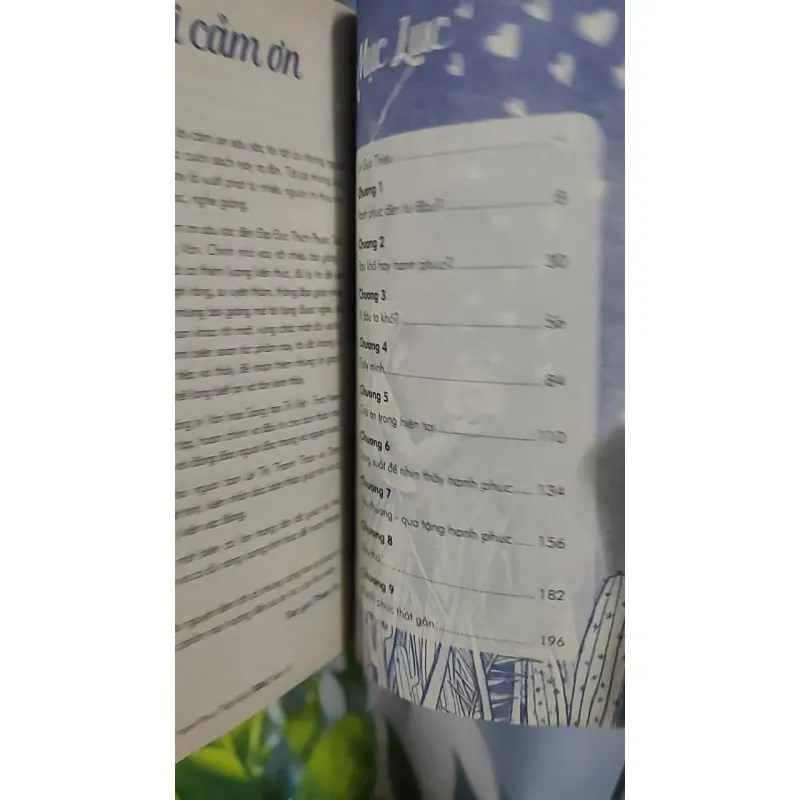 Hạnh Phúc Thật Gần - Thiện Từ 798470