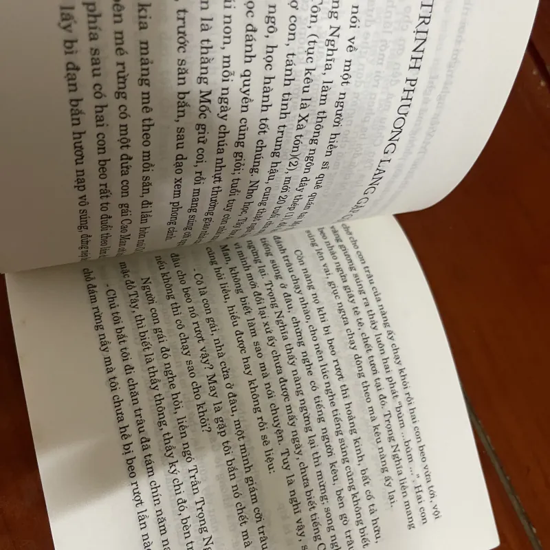 Nghĩa hiệp kỳ duyên Nguyễn Chánh Sắt 1005241