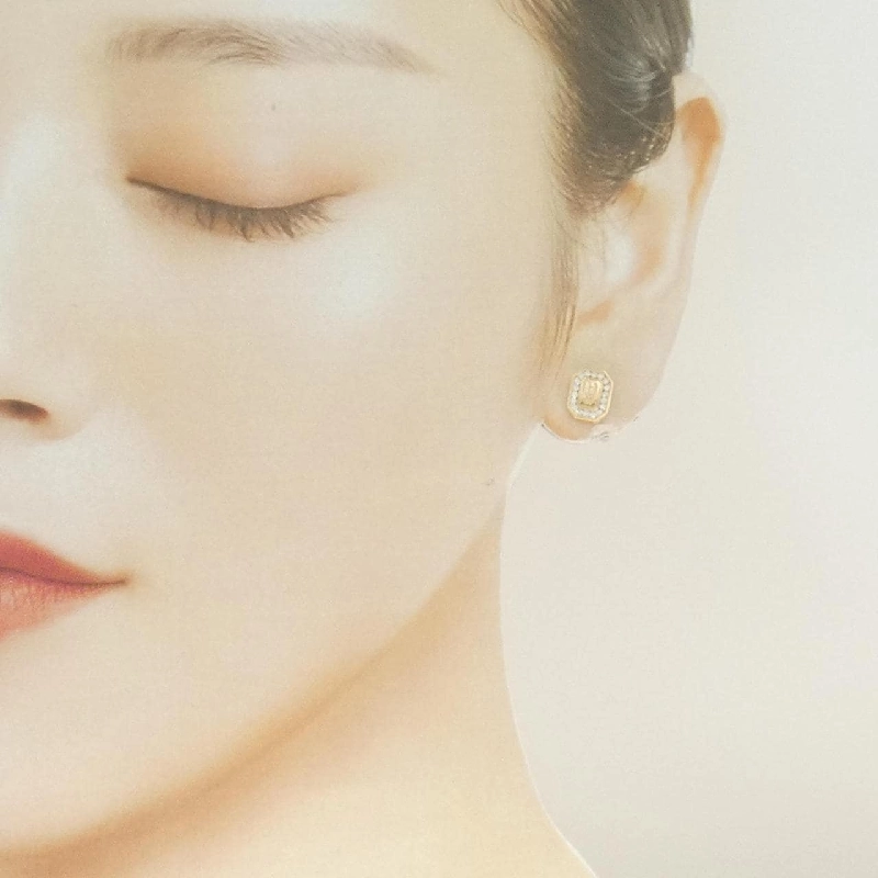 Khuyên tai logo HW Harry Winston - Hàng hiệu chính hãng 845001