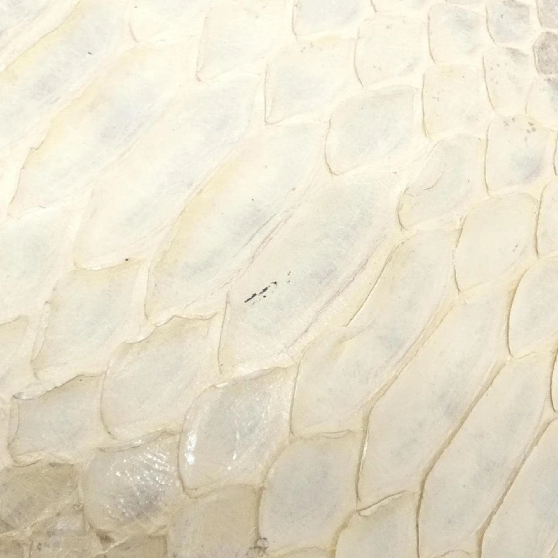 Túi xách vai Fendi Baguette 8BR000 JW7 - Hàng hiệu Chính hãng 767602