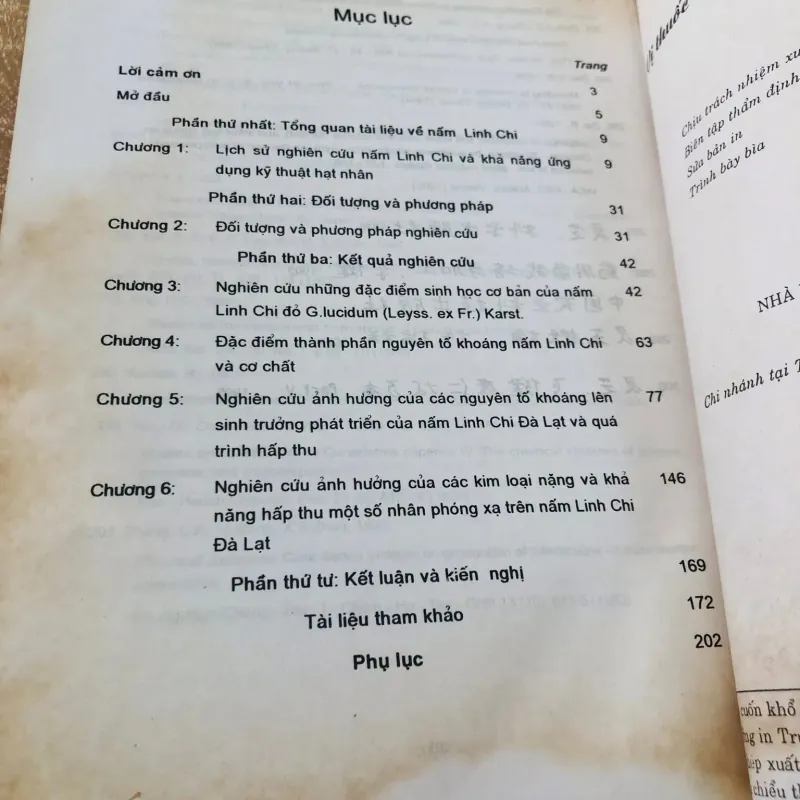 NẤM LINH CHI CÂY THUỐC QUÝ 974766