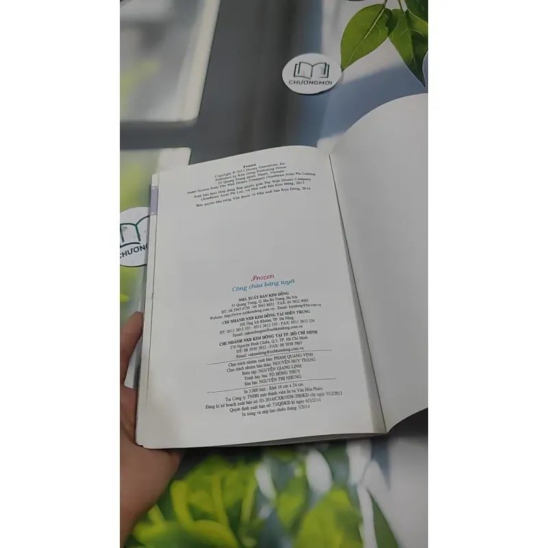 Frozen Công Chúa Băng Tuyết 727375