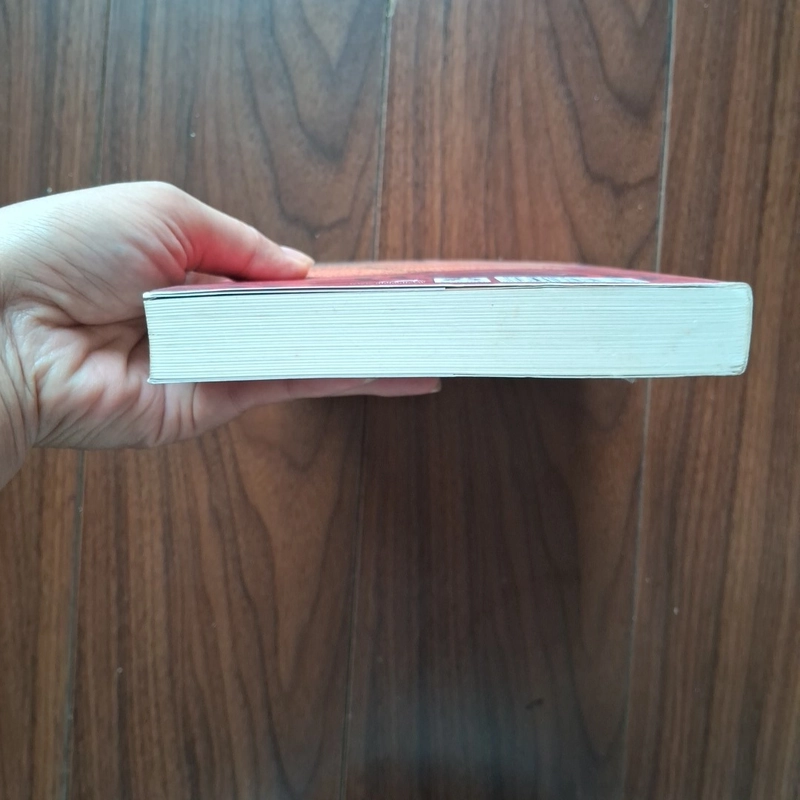 Bắt lửa - suzanne collins 503406