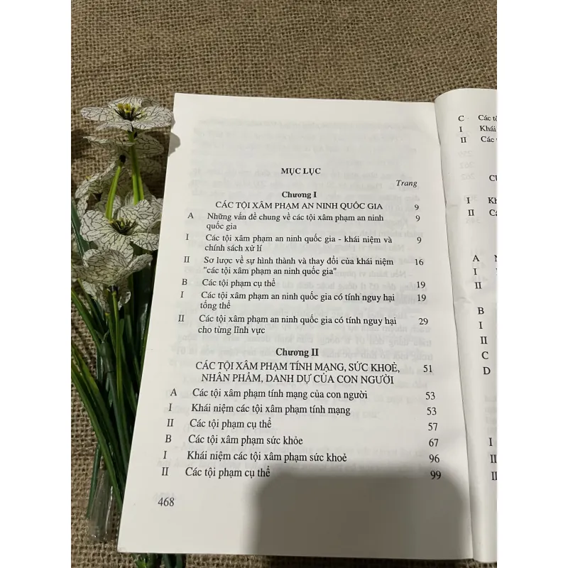Giáo trình luật hình sự Việt Nam, các tội phạm 797686