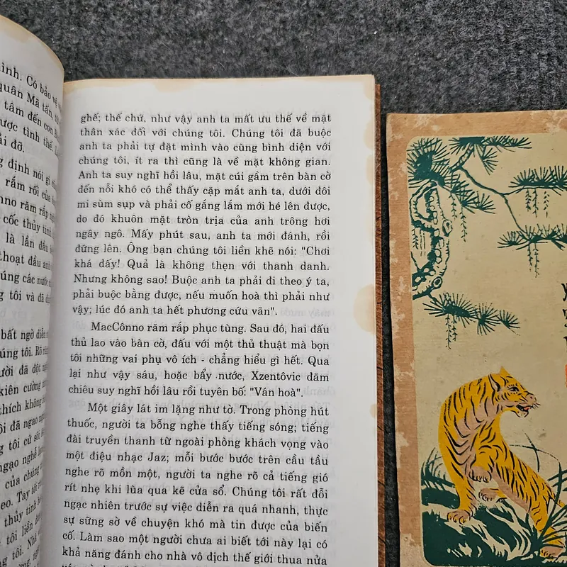 5 truyện hay nhất của Stefen zweig  734497